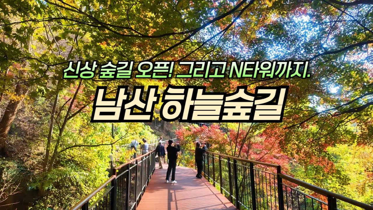 2025년 새롭게 개통된 남산 하늘숲길, 지금 걸어봤습니다!