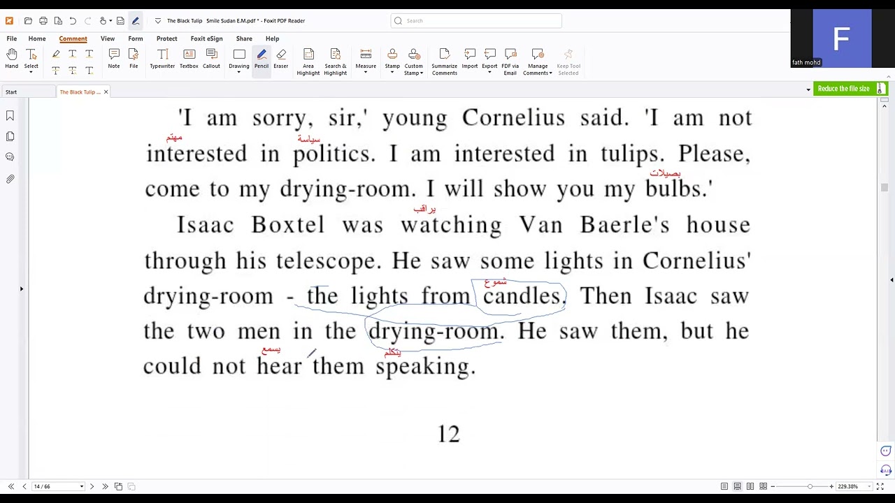 3 BLACK TULIP the package