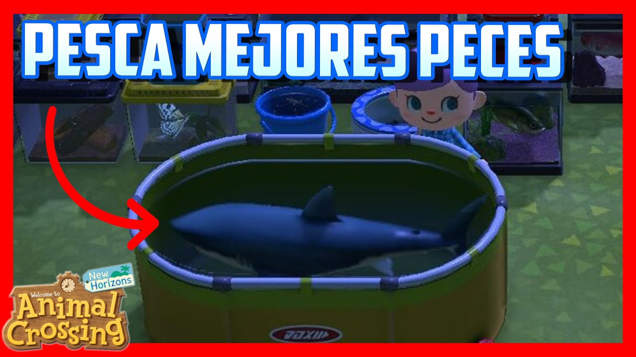 Secretos y Trucos de Animal Crossing New Horizons #8 - Como pescar ...