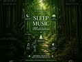 Deep Sleep Meditation Music 🌙 Calm Your Mind & Relax Your Soul