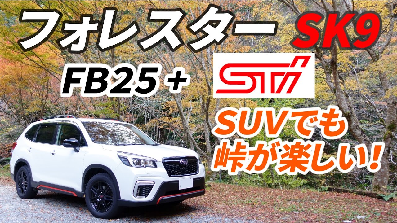 Ｓｔｉドロースティフナー＆タワーバーの効果と希少ＦＢ２５エンジンの素晴らしさを峠で語る！