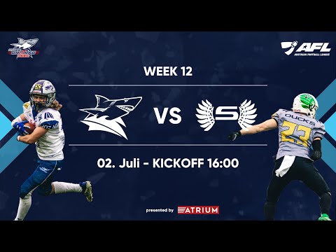 Livestream AFL Week 12 ATRIUM Steelsharks Traun vs. Salzburg Ducks