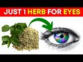 8 herbs that protect eyes and repair vision