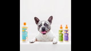 Scentsy Pets Independent Scentsy Consultant, Sydney Australia Scentsy Pets Independent Scentsy Consultant, Sydney Australia
