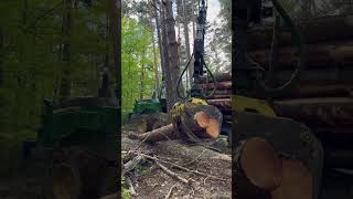 John Deere 1510G Forwarder In Action In The Perfect Forest #Johndeere #Automobile #Viral #Farming