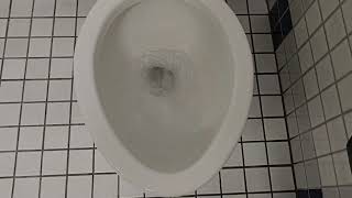 1996 Kohler Highcliff toilet