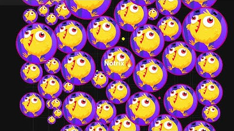 Private server tutorial•(Blob.io)