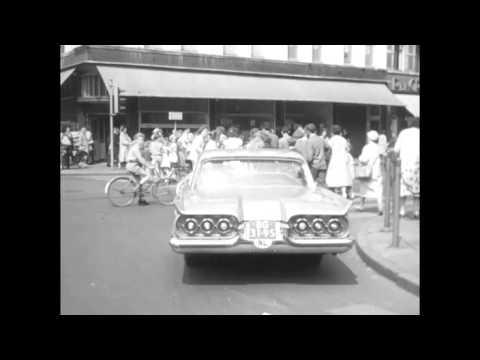 Video: Wat voor soort varken is 1959?