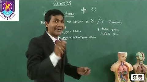 Sex linked genes || Genetics-NCERT XII Class || By Nagavelli Prasad