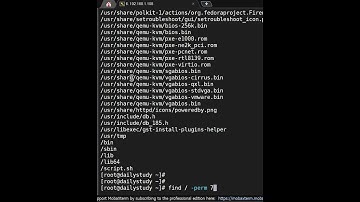 How to find all file with permission | #dailystudylinux