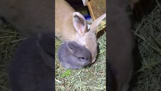 B20D19AC 5BCF 44E8 883C 10669B7FBDA2