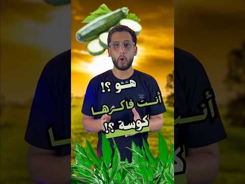 لا دي كوسة بقى