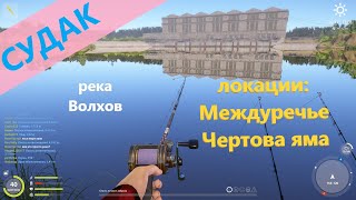 Русская рыбалка 4 - река Волхов - Судак с островка