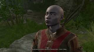 Baldurs Gate 3 - Withers puppets the Hirelings