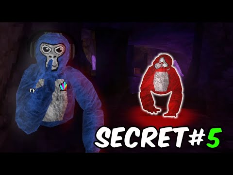 Ten things you did not know about the new Gorilla tag update