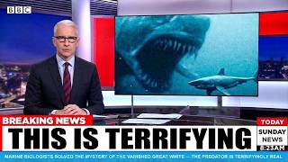 Marine Biologists Finally Solved the Mystery of the Missing Great White — The Predator Is Terrifying