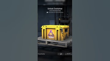 Day 2 Opening Cases Every Day Until I Get a Knife