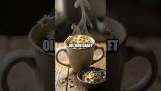 Seeds to Salves A Modern Forager's Guide to Home Grown Remedies