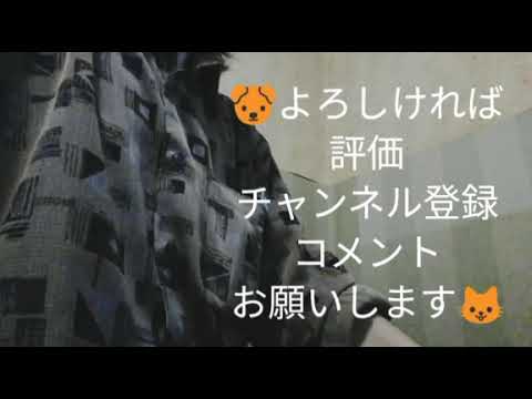 【歌ってみた】私だけの十字架  / Fausto Cigliano　covered by ドトルーマン