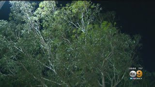 Stevenson Ranch Residents Glad To See Wild Winds Calming Down