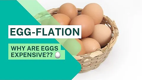 Why Are Eggs So Expensive | Eggflation Explained