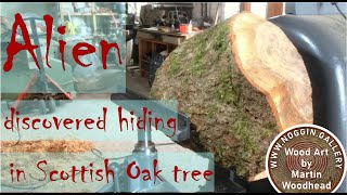 Woodturner discovers ALIEN hiding in tree
