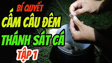 THÁNH SÁT CÁ ĐI CẤM CÂU ĐÊM DÍNH TOÀN CÁ RÔ KHỦNG TẬP 1 | Lời Vlogs