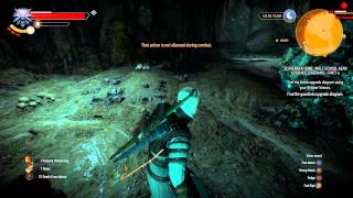 The Witcher 3 Act 2 - Superior Wolven Gauntlets