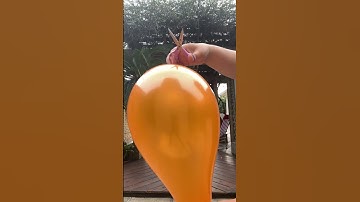 Balloon Popping I Balloon Pop I Best Oddly Satisfying & Relaxing Videos Christmas #shorts