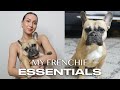 French bulldog essentials  must have products for your frenchie