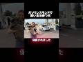 GSで飼い主を待ち続ける犬、そして最後には...!#動物保護 #dog