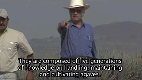 Rogelio Luna Comments on Tequila