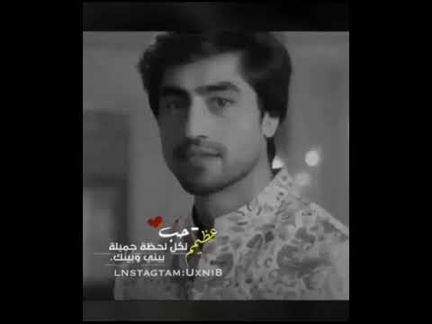 فيديوهات انستجرام