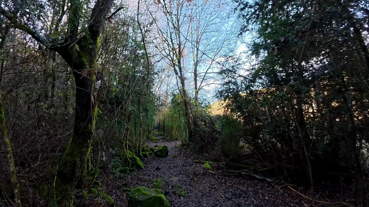 2025_12_18 Estany de Montcortès