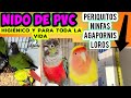 CÓMO HACER EL MEJOR NIDO DEL MUNDO (COMPROBADO) PARA PERIQUITOS, AGAPORNIS, NINFAS Y LOROS