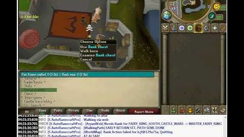 AutoRunecrafter Pro problems