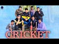 Cricket 2  pince