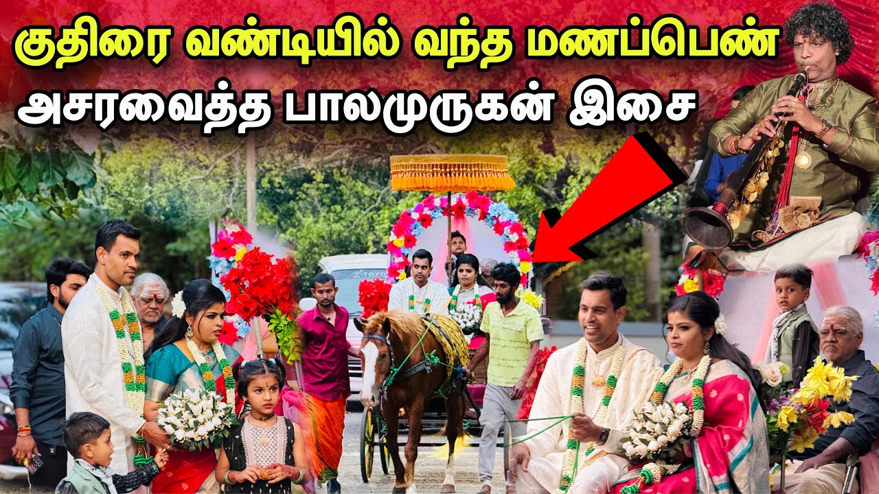 🛑சற்றுமுன்! குதிரை வண்டியில் வந்த மணப்பெண்!அசரவைத்த பாலமுருகன் இசை!#jaffna 