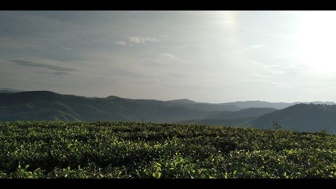 10 cent to 90 cent plots for sale at Vagamon with all facilities Vagamon Real Estate YouTube