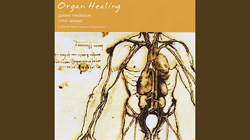 Organ Healing Guided Meditation