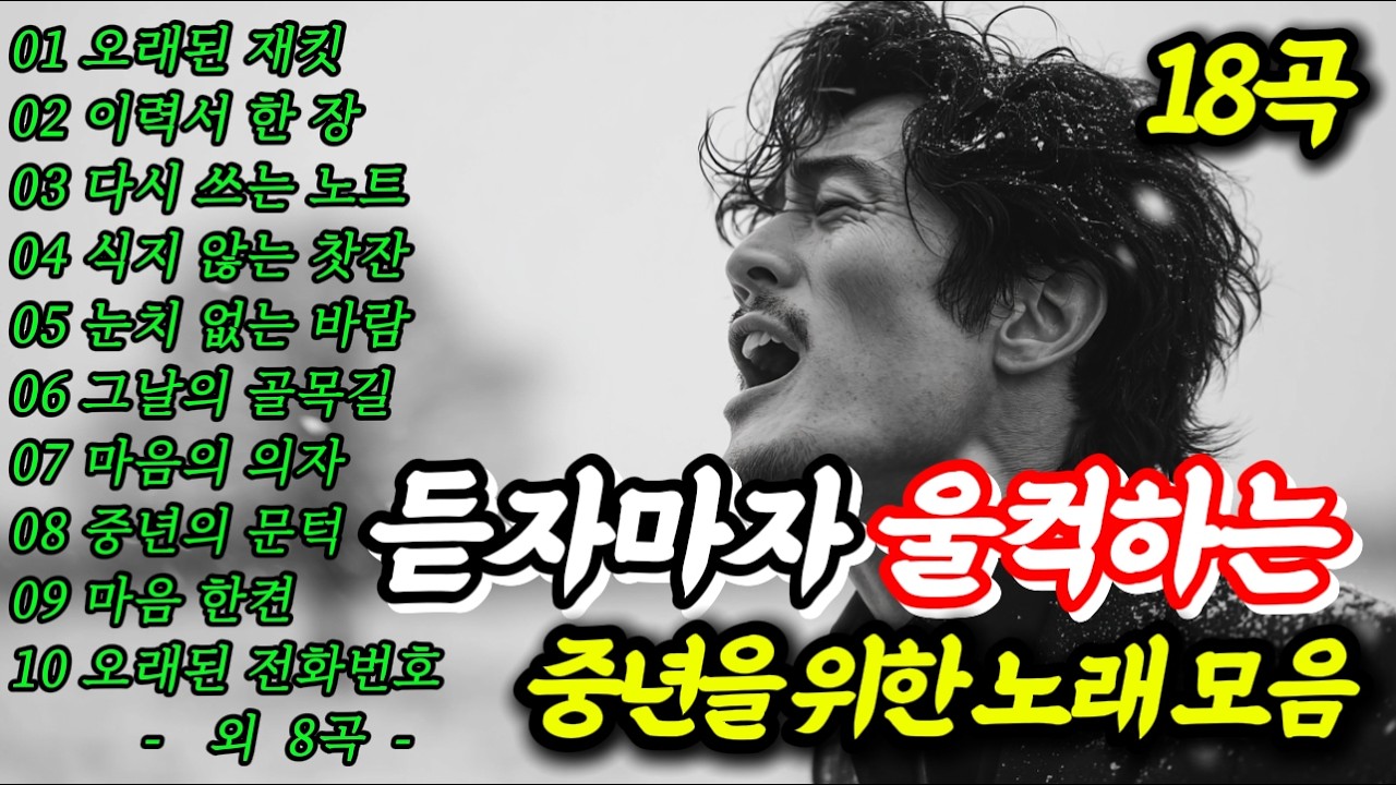 🎵중년의 인생을 위로하는 낭만 트로트 베스트/ 중년의 문턱...