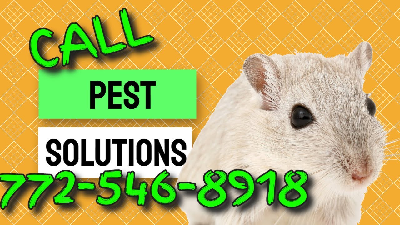 Affordable Pest Solutions control near me hobe sound fl ...