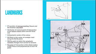 Ricketts' analysis(cephalometric analysis) screenshot 3