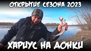 Открытие сезона 2023 / Хариус на донки / 4К