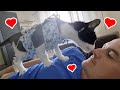 Cat Says Thank You to Father for Saving His Life. Purring and Kissing.