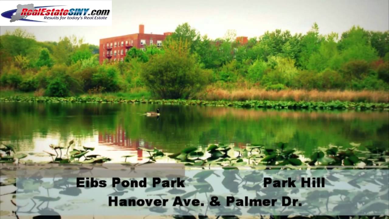 Staten Island's Parks with Ponds YouTube