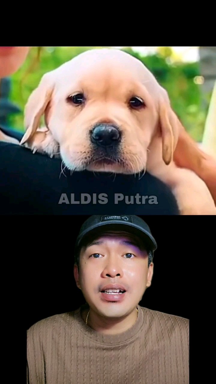 ANJING LUCU YANG TIDAK DIANGGAP ? #shorts #dubbing #funny