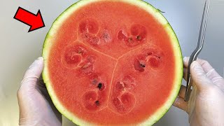 If you cut a watermelon crosswise, a strange pattern appears (joke