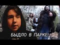 БЫДЛО В ПАРКЕ!!! ОБЛИЛИ ПИВОМ