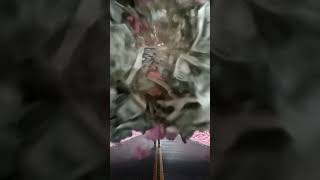 🌸💵 벚꽃 속 재물의 별이 뜨다! 운명의 길 위에 선 순간 ✨🌫️ #wealthluck